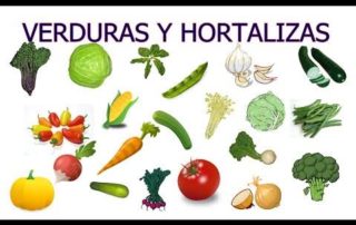 IBLIS MAGAZINE IBLIS MAGAZINE