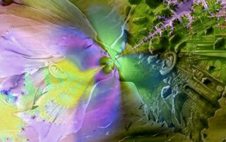 IBLIS MAGAZINE temperamentos