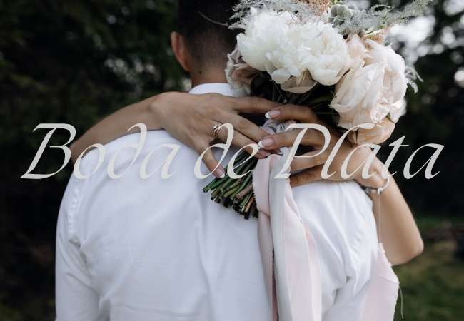 boda de plata Aniversario de bodas