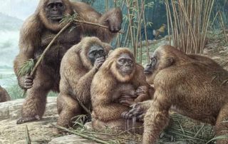 IBLIS MAGAZINE IBLIS MAGAZINE