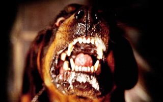 IBLIS MAGAZINE IBLIS MAGAZINE