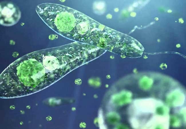 IBLIS MAGAZINE IBLIS MAGAZINE