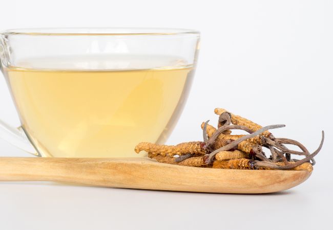 Cordyceps sinensis (1) IBLIS MAGAZINE