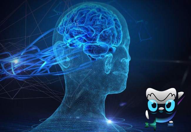 La Historia de Duolingo (5) La Historia de Duolingo