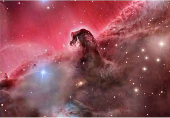 cabeza de cabello IBLIS MAGAZINE