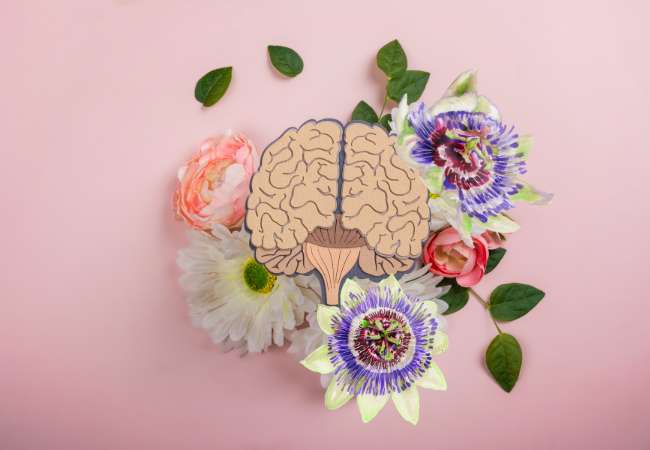 pasiflora IBLIS MAGAZINE