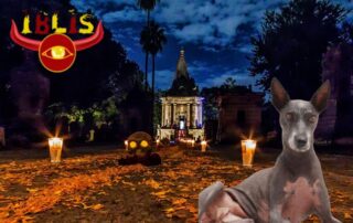 IBLIS MAGAZINE perro azteca xoloitzcuintle