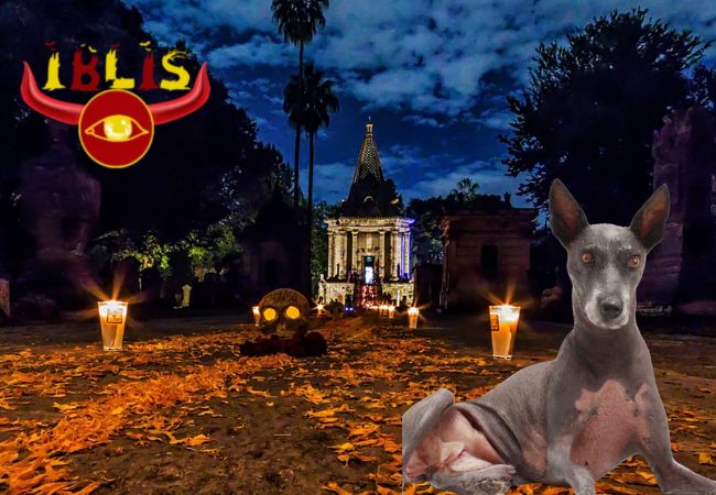 perro azteca xoloitzcuintle