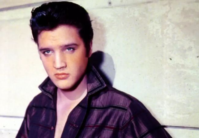 fredy IBLIS MAGAZINE