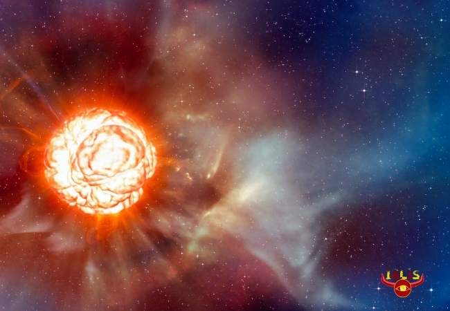 bettle IBLIS MAGAZINE